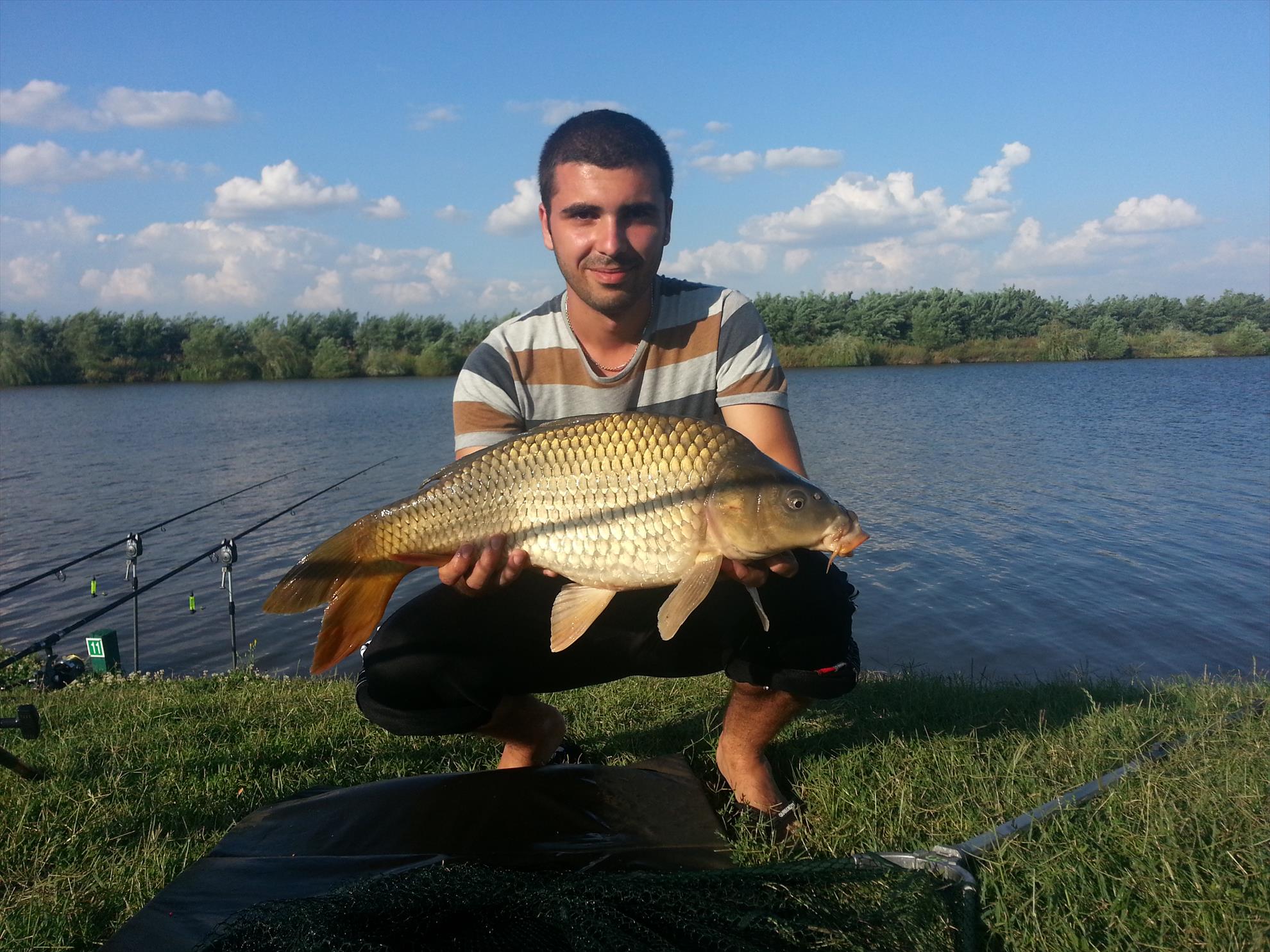 fish - 20131115104837.jpg